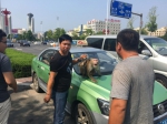 马戏团猴子打车过程中抢夺方向盘 司机停车“拒载” - News.Ycwb.Com