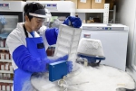 8月10日，工作人员将细胞样本放入-196℃的液氮中保存。新华社记者 毛思倩 摄 - News.21cn.Com