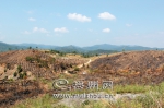 梅县区大坪镇2017年碳汇造林备耕点 - Meizhou.Cn