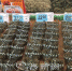 图为梅城某超市销售的不同价格的阳澄湖大闸蟹。是不是“一分钱一分货”呢？（杨敏　摄） - Meizhou.Cn