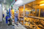 紫晶存储公司工人在无尘车间操作设备。（吴腾江　摄） - Meizhou.Cn
