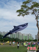 10月9日，广东举办2016年国际风筝邀请赛，展示“鲸鱼”巨型风筝 通讯员 摄 - 中国新闻社广东分社主办