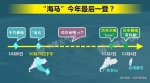海马或成10月登陆广东最强台风 局地或现14级阵风 - 新浪广东