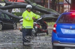 ▲被风刮倒的大树横跨在街道上，交警冒雨疏导交通。（林翔　摄） - Meizhou.Cn