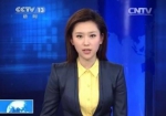 央视90后女主播一夜爆红 甜美清新被称“小刘亦菲” - News.Ycwb.Com