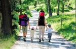 这周日带孩子参加公益徒步 一起感受最健康时尚的生活方式 - News.Timedg.Com