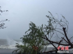 台风“海马”造成广东三市渔业经济损失6.11亿元 - 中国新闻社广东分社主办