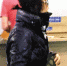10月30日，一名被韩国媒体称“看上去是崔顺实”的女性出现在韩国仁川机场。崔顺实当天从英国回国 - News.Ycwb.Com