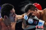中国最顶级拳击赛事“中国拳王争霸赛”第二日的比赛30日晚在广东中山市体育馆举行，当晚上演的四场大赛异常激烈，图为选手激烈比赛中。　唐贵江 摄 - 中国新闻社广东分社主办