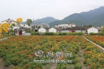 经过人居环境综合整治，长潭镇白马村变得风景如画。（高讯　摄） - Meizhou.Cn
