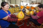 梅县金柚产业园内一家柚子基地的工人们正在进行包装工作。 - Meizhou.Cn