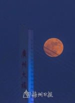 昨日傍晚，梅城初升的月亮呈暗红色。（林翔　摄） - Meizhou.Cn