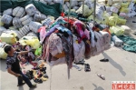 ▲海关正在对垃圾衣服装车运往垃圾发电处理厂 朱子煜 摄 - 新浪广东