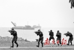 珠海两栖侦察队演练登陆作战 枪声巨响震碎靶竿 - 新浪广东