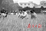19日，袁隆平（左二）在龙田镇环陂村的稻田里察看水稻情况。新华社发 - 新浪广东