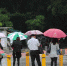 ▲路口正在等红绿灯的行人们。深圳晚报记者 陆颖 摄 - 新浪广东