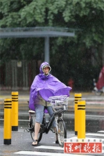 ▲冷风冷雨，男士骑单车的动作也因此迟缓了下来。深圳晚报记者 陆颖 摄 - 新浪广东