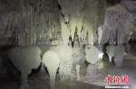 图为坑底溶洞内分布的石钟乳。陕西省国土资源厅供图 - Meizhou.Cn