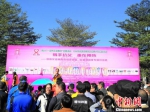 深圳举办预防艾滋病大型公益活动倡导全民抗艾 - 中国新闻社广东分社主办