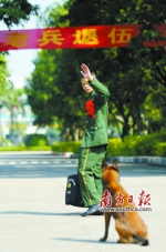 武警广州警犬基地里要退伍的龙杰东向“战友”警犬挥手道别。 南方日报记者 郭智军 摄 - 新浪广东