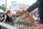 大爷当街屠狗卖肉 市民众筹救狗 - Meizhou.Cn