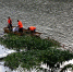 ▲工作人员在清理汀江上的水浮莲。 - Meizhou.Cn