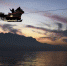 “圣诞老人”乘雪橇“飞翔”在内瓦湖上空 - News.Ycwb.Com