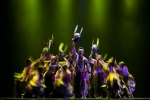 广东舞蹈戏剧职业学院在广东省第五届岭南舞蹈大赛上喜获7金等21块奖牌 - 教育厅