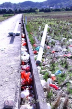竹园村水渠里堆放着许多垃圾。 - Meizhou.Cn