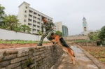 进行连续跳跃训练。营地周围随处都是“黑虎”的训练场所。 - Meizhou.Cn