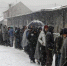在大雪下，大批难民在贝尔格莱德一个货仓外排队，等候配给食物和其他救援物资。 - News.21cn.Com