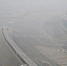 WHO驻华代表：未来5-10年中国空气污染将显著改善 - News.21cn.Com