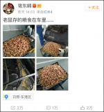 老鼠存一年的花生被没收 网友神回复笑喷了 - Meizhou.Cn