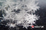 今天上午，北京出现降雪，雪花晶莹剔透。 - News.21cn.Com