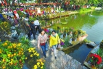 昨日，市民在水上花市赏花、买花、购置年货。 广州日报记者莫伟浓 摄 - 新浪广东