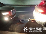 深夜车辆燃油耗尽 司机脱裤子“救急”双双被困高速 - Meizhou.Cn