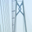 图为港珠澳大桥青州航道桥采用“中国结”造型。 <a target='_blank' href= - 中国新闻社广东分社主办