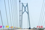 图为港珠澳大桥青州航道桥采用“中国结”造型。  - 中国新闻社广东分社主办