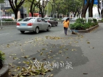 春来落叶飘，环卫工人扫街忙。（李玉娇　摄） - Meizhou.Cn