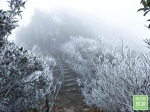 广东连山再降第二次春雪 金子山变身为玉龙雪山 - 新浪广东