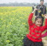 美丽乡村引来了众多游客，图为博罗观音阁的油菜花田。 南方日报记者 王昌辉 摄 - 新浪广东
