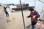 珠江渔民在停泊渔船 刘烁 摄 - 中国新闻社广东分社主办