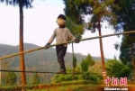 四川南江6岁男孩自学盲走钢丝绝活渴望得到专业学习 - Meizhou.Cn