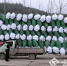 货车被交警拦下：装运货物侧面看比车大数倍(图) - Meizhou.Cn
