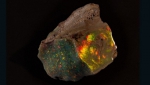 蛋白石原石“澳大利亚之火”。图片来源：南澳大利亚博物馆 - 新浪广东