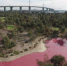 这个湖泊的湖水变成了粉红色。（图片来源：澳大利亚维多利亚州公园管理机构） - News.21cn.Com