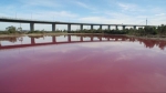 专家称，湖水变红是自然现象。（图片来源：澳大利亚维多利亚州公园） - News.21cn.Com