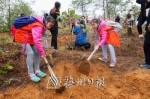 小记者、小读者们共同种下一棵棵树苗。（连志城　摄） - Meizhou.Cn