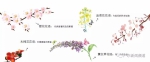 3月4日上午11点，广东新闻频道邀您一起来赏花! - 广东电视网
