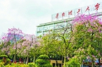 华南理工大学将在广州打造高水平理工特色的国际化示范校区 - 广东大洋网